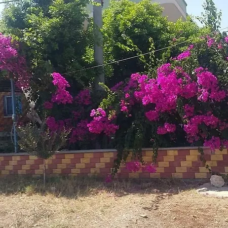 Pinar Hanimin Pansiyonu イスタンブール